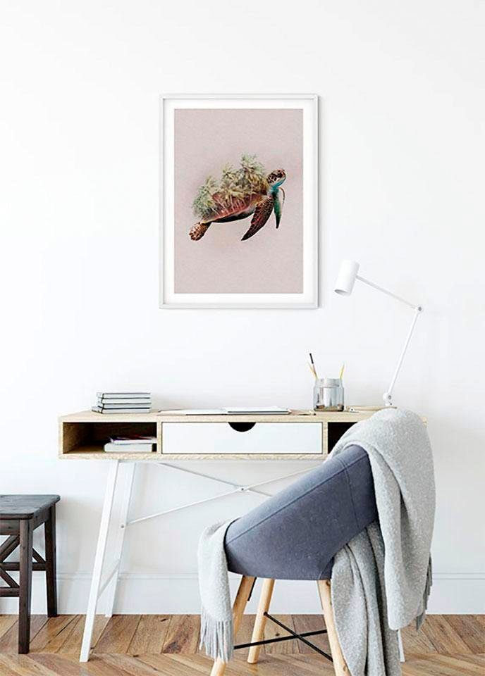 Komar Poster »Animals Paradise Turtle«, Tiere, (1 St.), Kinderzimmer, Schlafzimmer, Wohnzimmer von Komar