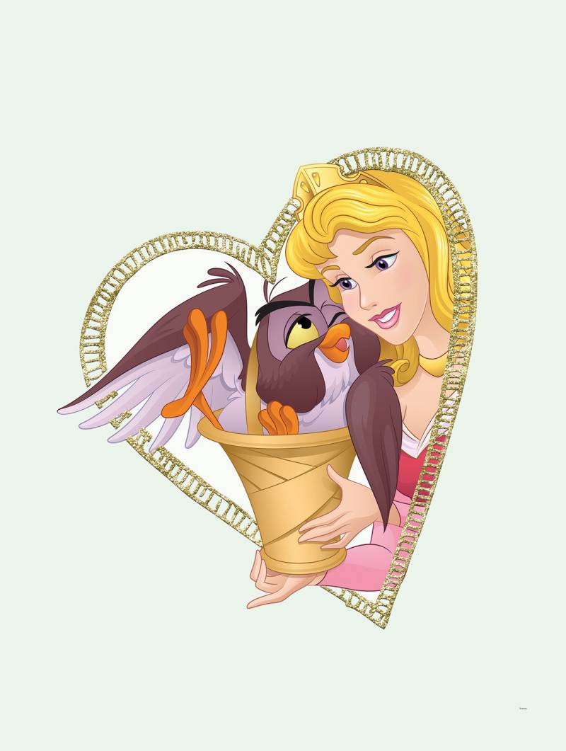 Komar Bild »Aurora & Owl«, Disney, (1 St.), Wandbild zur Dekoration im Kinderzimmer - ohne Rahmen von Komar