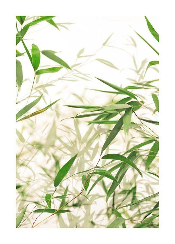 Komar Bild »Bamboo Leaves«, Pflanzen-Blätter, (1 St.), Wandbild zur Dekoration - ohne Rahmen von Komar