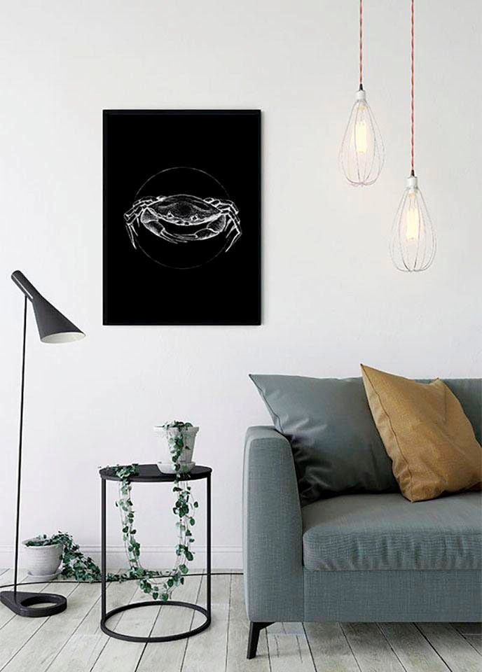 Komar Poster »Crab Black«, Tiere, (1 St.), Kinderzimmer, Schlafzimmer, Wohnzimmer von Komar