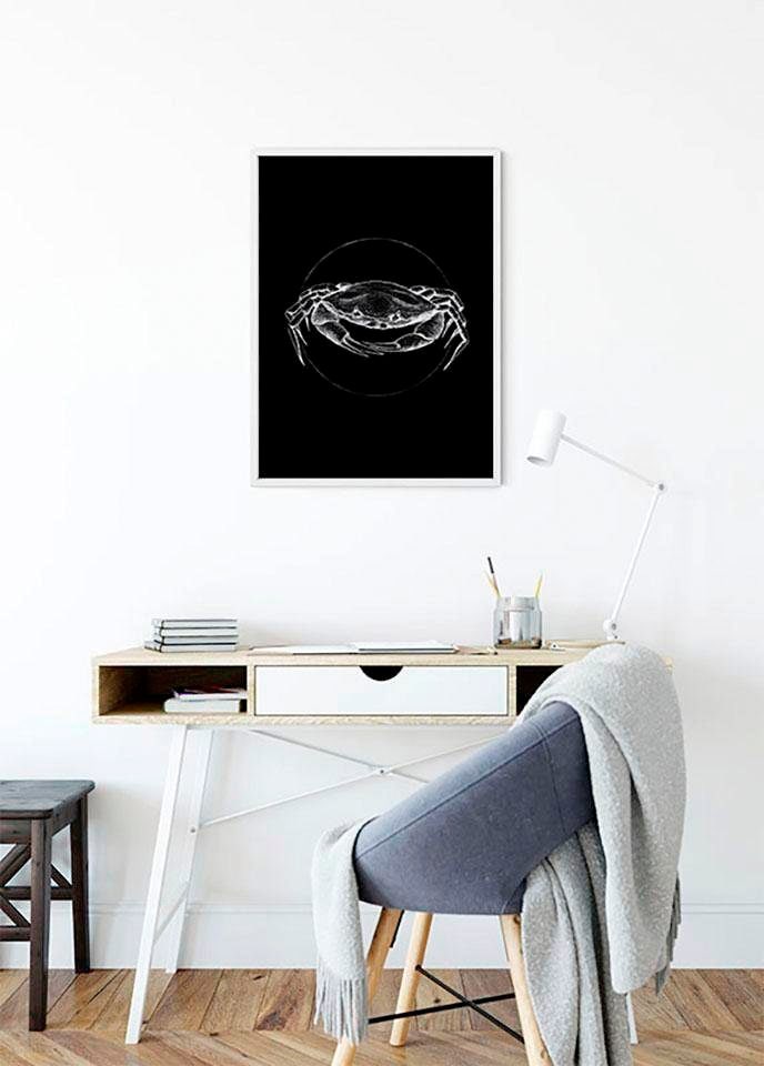 Komar Poster »Crab Black«, Tiere, (1 St.), Kinderzimmer, Schlafzimmer, Wohnzimmer von Komar