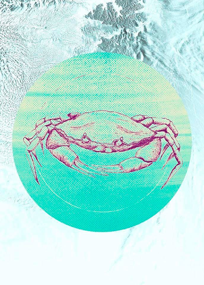 Komar Poster »Crab Sea«, Tiere, (1 St.), Kinderzimmer, Schlafzimmer, Wohnzimmer von Komar