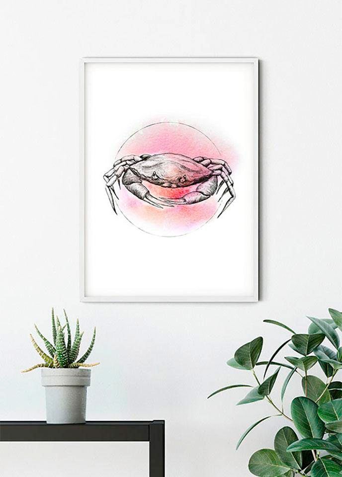 Komar Poster »Crab Watercolor«, Tiere, (1 St.), Kinderzimmer, Schlafzimmer, Wohnzimmer von Komar