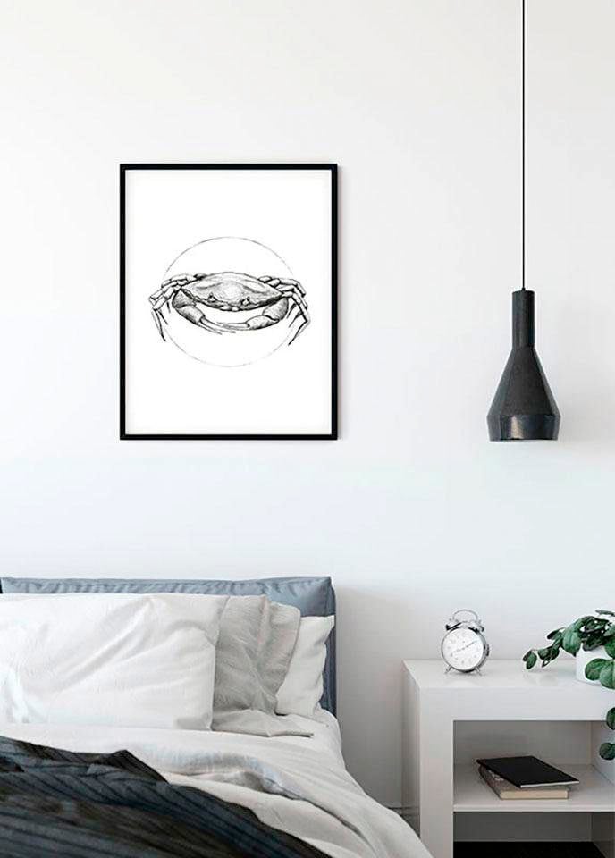 Komar Poster »Crab White«, Tiere, (1 St.), Kinderzimmer, Schlafzimmer, Wohnzimmer von Komar