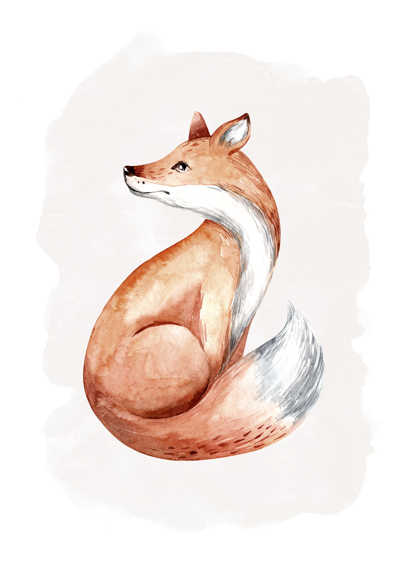 Komar Bild »Curious Fox«, Natur, (1 St.), Wandbild zur Dekoration - ohne Rahmen von Komar