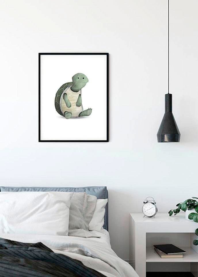 Komar Poster »Cute Animal Turtle«, Schildkröten, (1 St.), Kinderzimmer, Schlafzimmer, Wohnzimmer von Komar