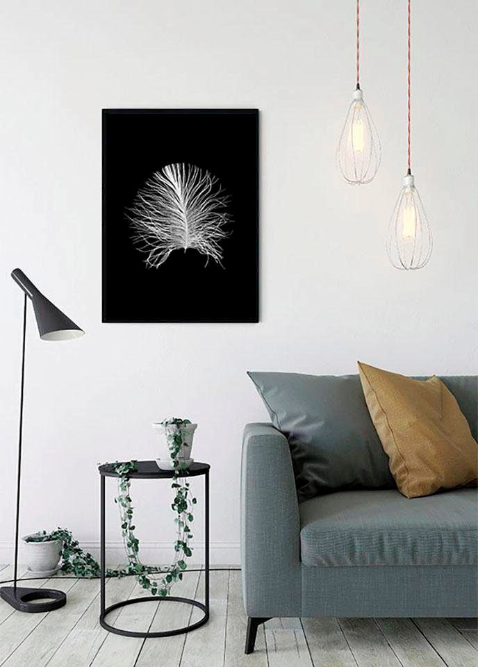 Komar Poster »Feather Black«, Federn, (1 St.), Kinderzimmer, Schlafzimmer, Wohnzimmer von Komar