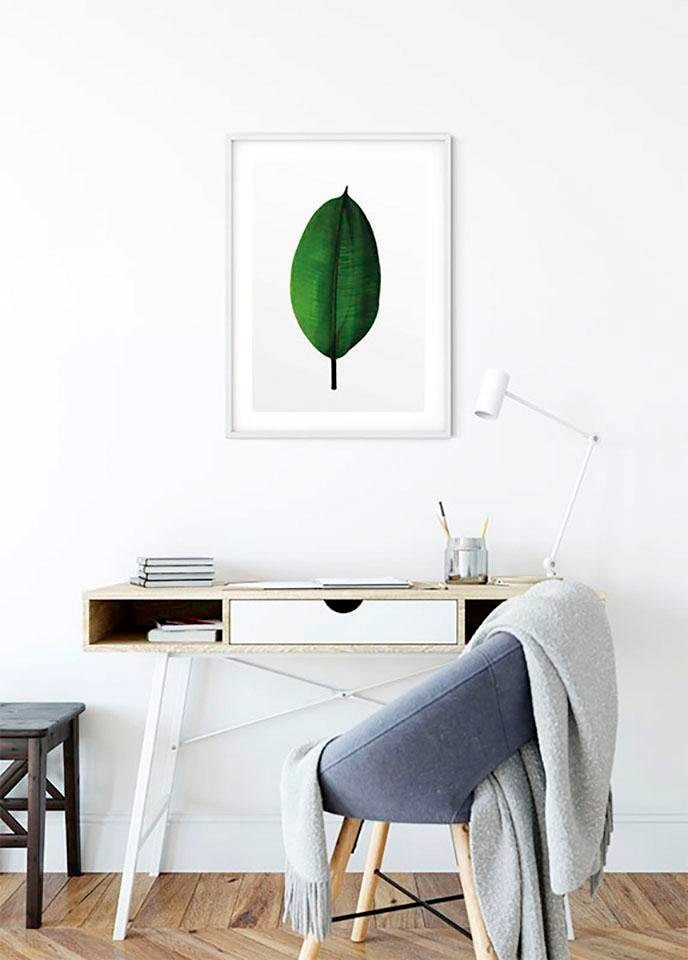 Komar Bild »Ficus Leaf«, Pflanzen-Blätter, (1 St.), Wandbild zur Dekoration - ohne Rahmen von Komar