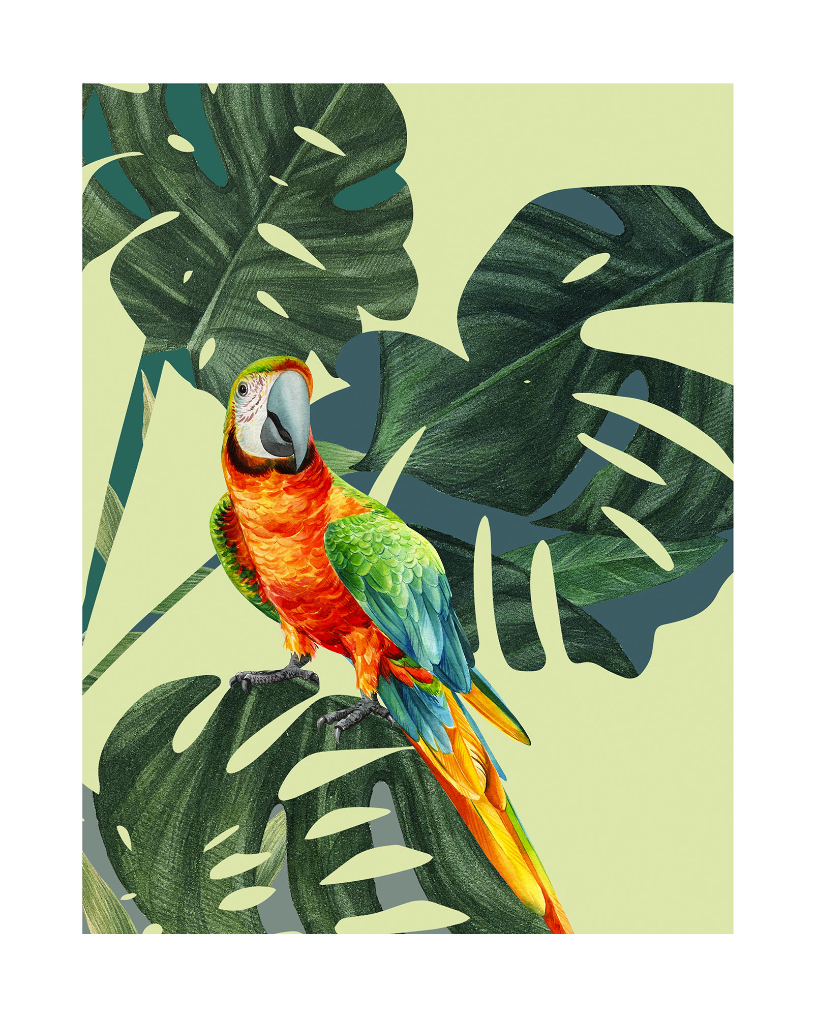 Komar Poster »Green-Winged Macaw«, (1 St.), Kinderzimmer, Schlafzimmer, Wohnzimmer von Komar