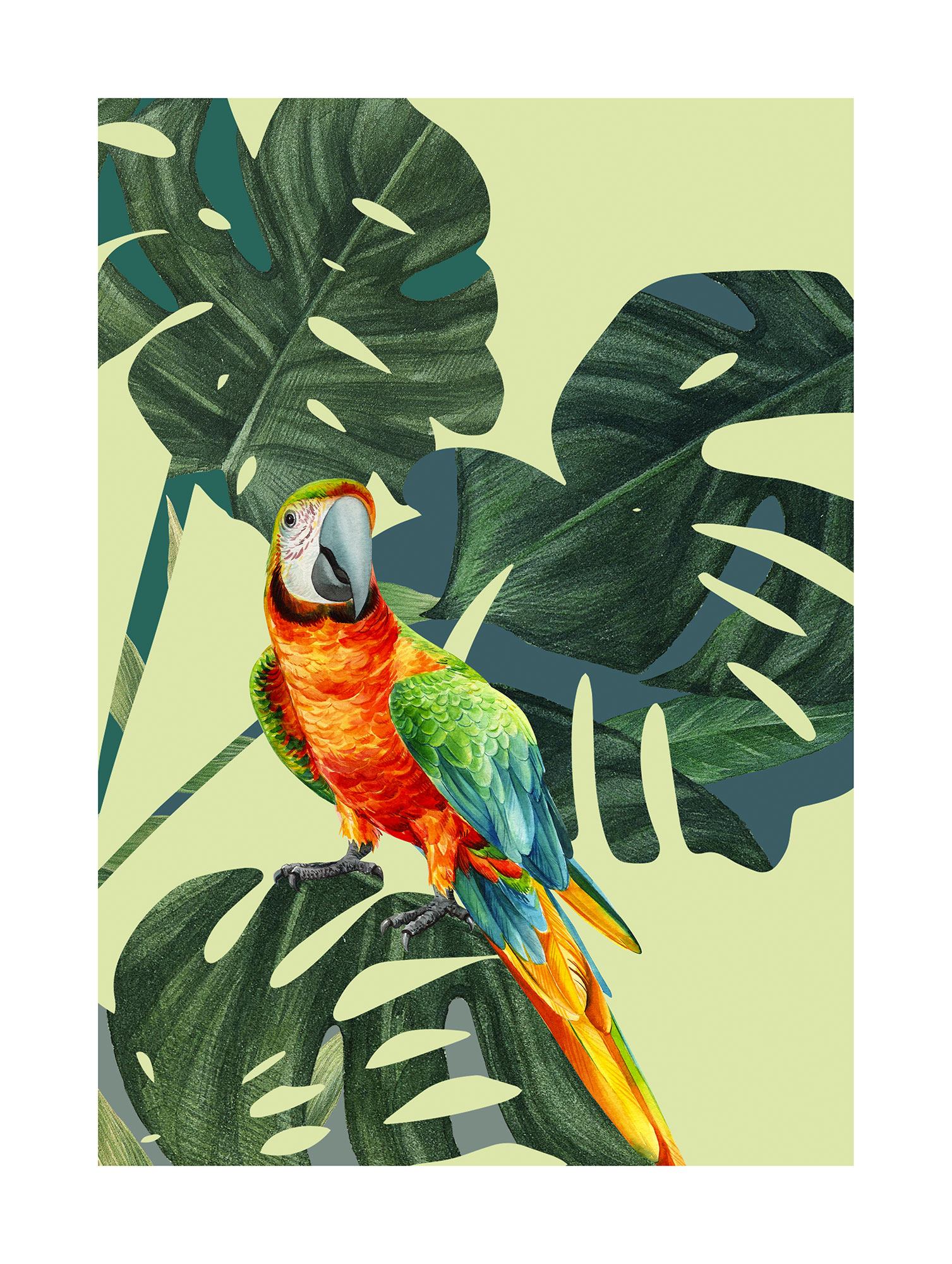 Komar Bild »Green-Winged Macaw«, Natur, (1 St.), Wandbild zur Dekoration - ohne Rahmen von Komar