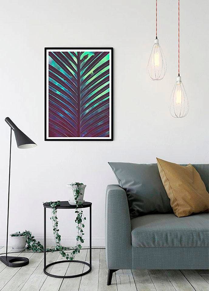 Komar Bild »Hide«, Pflanzen-Blätter, (1 St.), Wandbild zur Dekoration - ohne Rahmen Komar Bild »Hide«, Pflanzen-Blätter, (1 St.), Wandbild zur Dekoration - ohne Rahmen von Komar