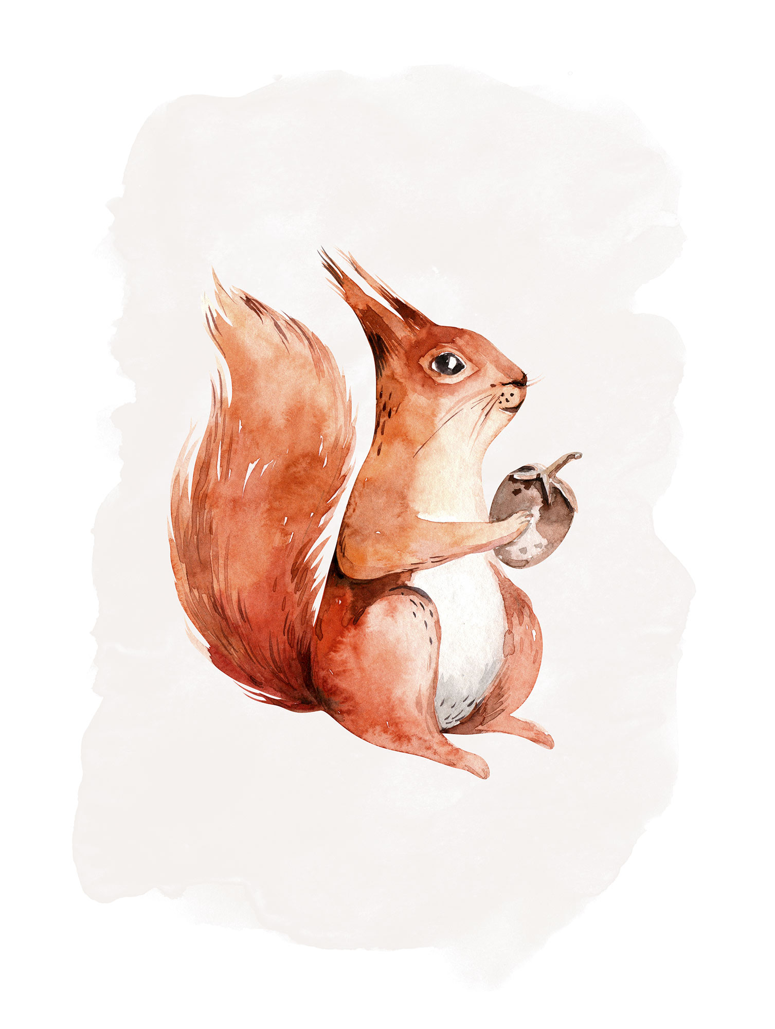 Komar Bild »Hungry Squirrel«, Natur, (1 St.), Wandbild zur Dekoration - ohne Rahmen von Komar