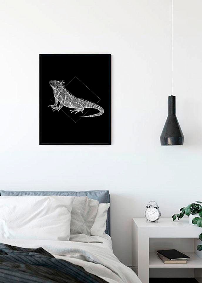 Komar Poster »Iguana Black«, Tiere, (1 St.), Kinderzimmer, Schlafzimmer, Wohnzimmer von Komar