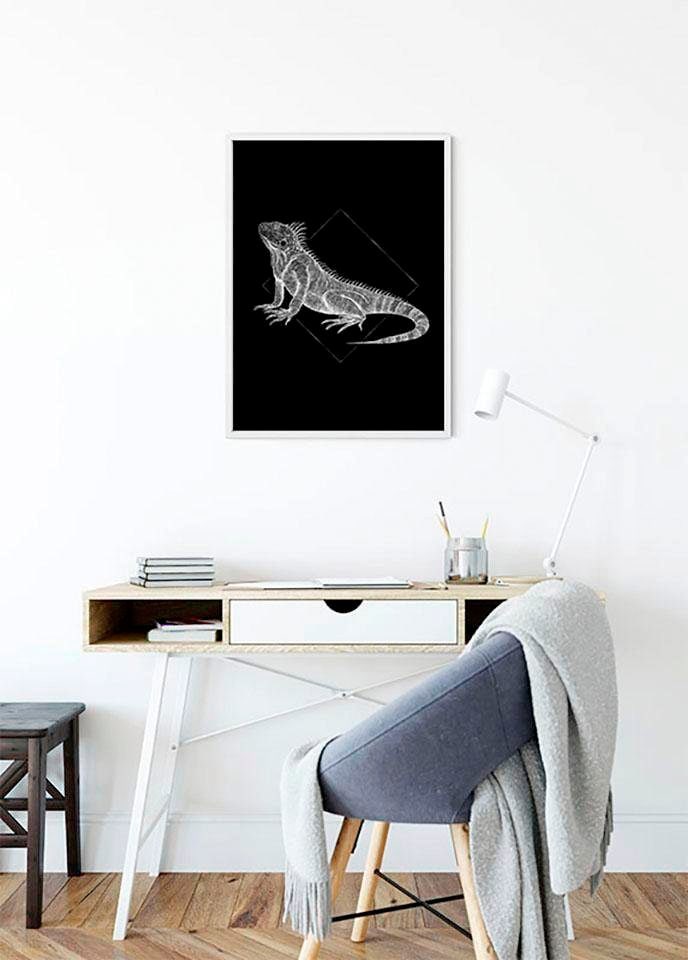 Komar Poster »Iguana Black«, Tiere, (1 St.), Kinderzimmer, Schlafzimmer, Wohnzimmer von Komar