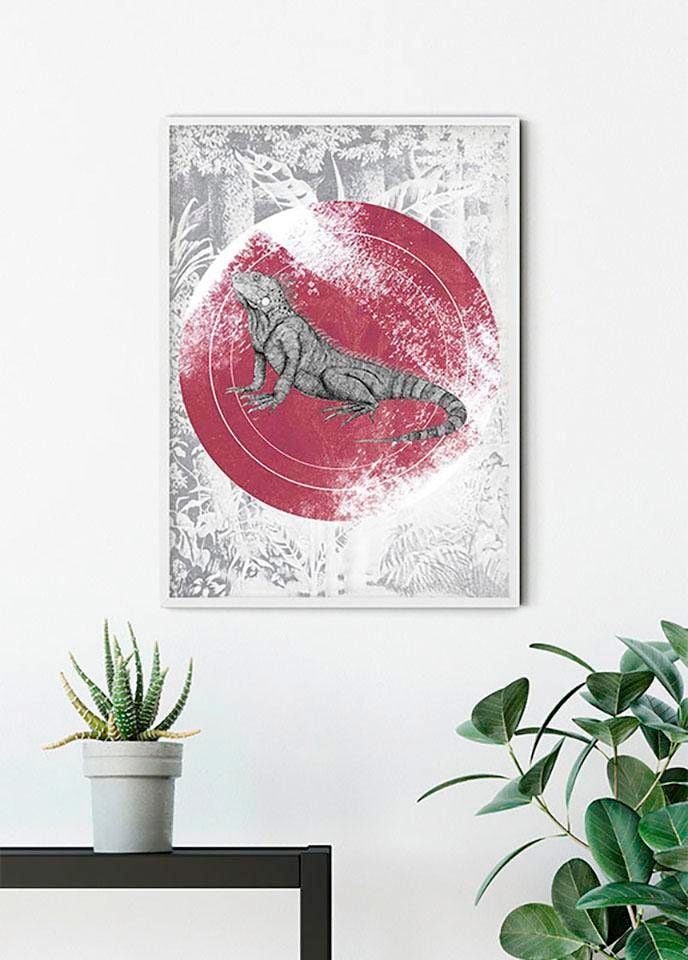 Komar Poster »Iguana Circle«, Tiere, (1 St.), Kinderzimmer, Schlafzimmer, Wohnzimmer von Komar