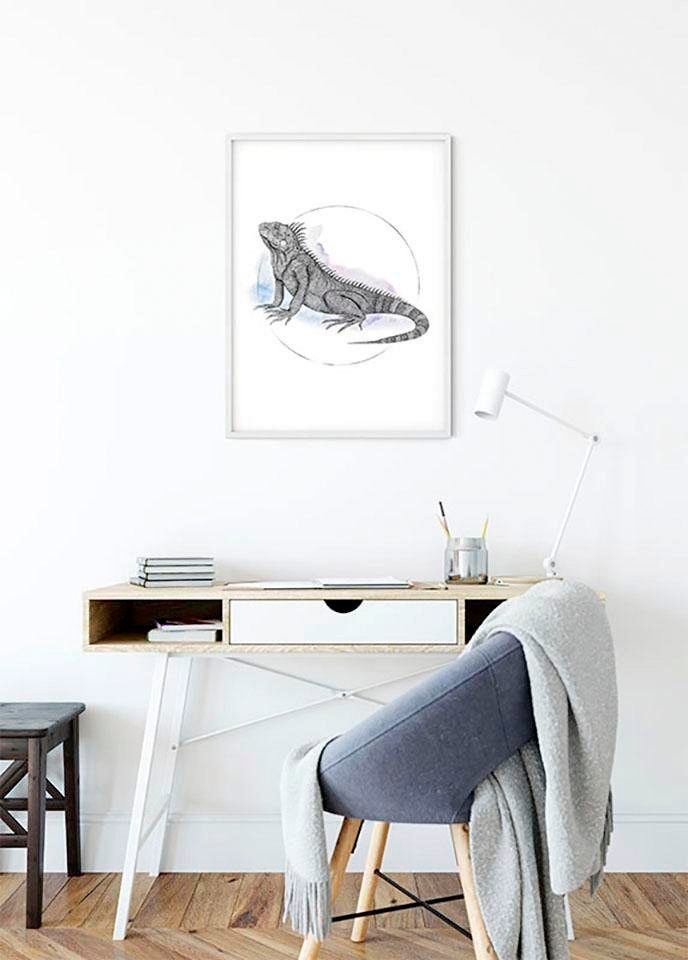 Komar Bild »Iguana Watercolor«, Tiere, (1 St.), Wandbild zur Dekoration - ohne Rahmen Komar Bild »Iguana Watercolor«, Tiere, (1 St.), Wandbild zur Dekoration - ohne Rahmen von Komar