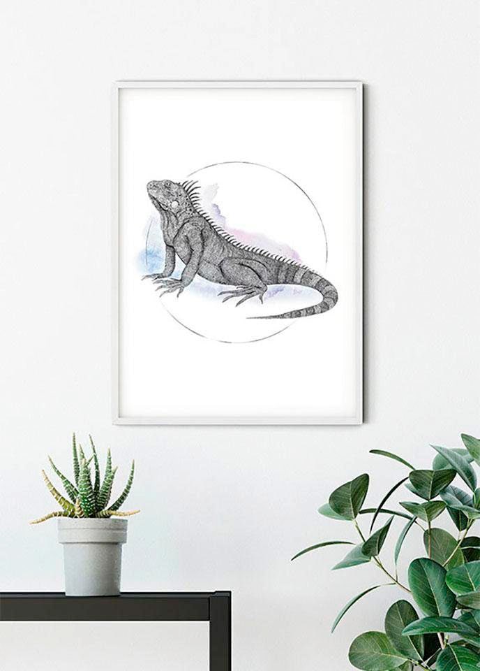 Komar Poster »Iguana Watercolor«, Tiere, (1 St.), Kinderzimmer, Schlafzimmer, Wohnzimmer von Komar