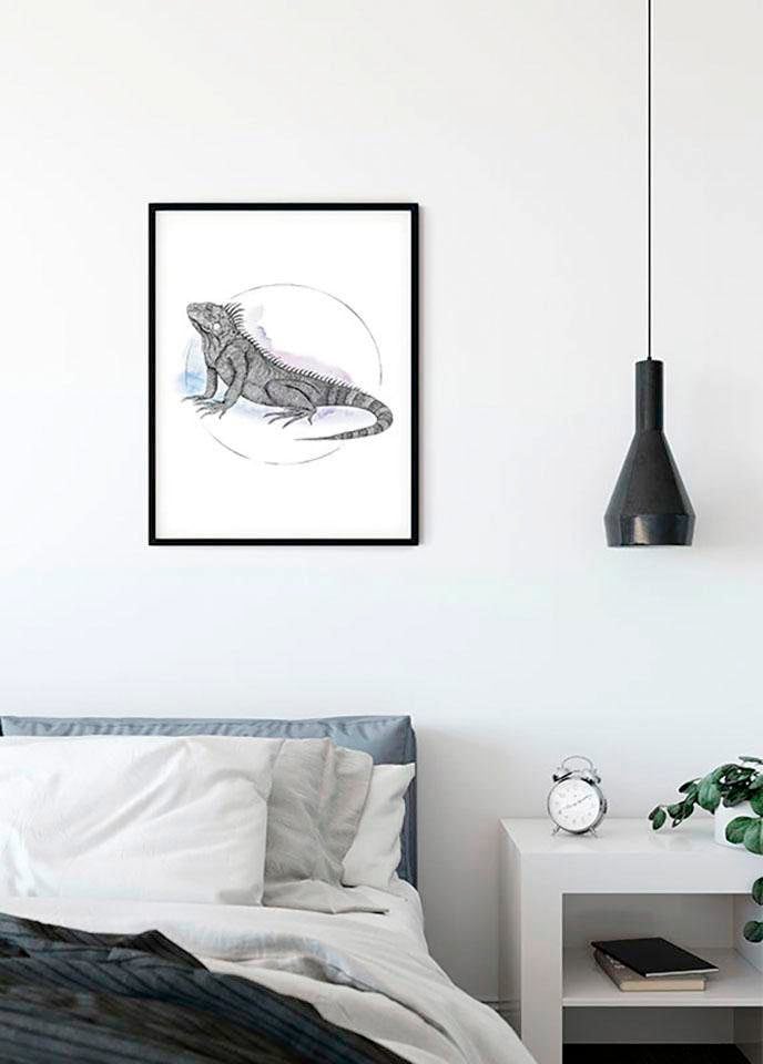 Komar Poster »Iguana Watercolor«, Tiere, (1 St.), Kinderzimmer, Schlafzimmer, Wohnzimmer von Komar