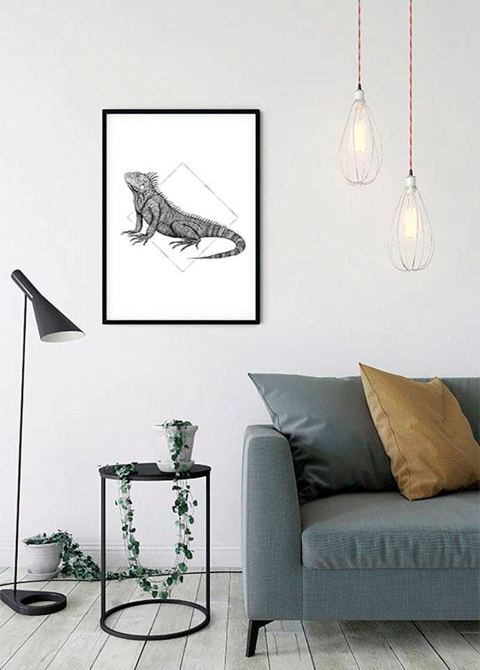 Komar Poster »Iguana White«, Tiere, (1 St.), Kinderzimmer, Schlafzimmer, Wohnzimmer von Komar