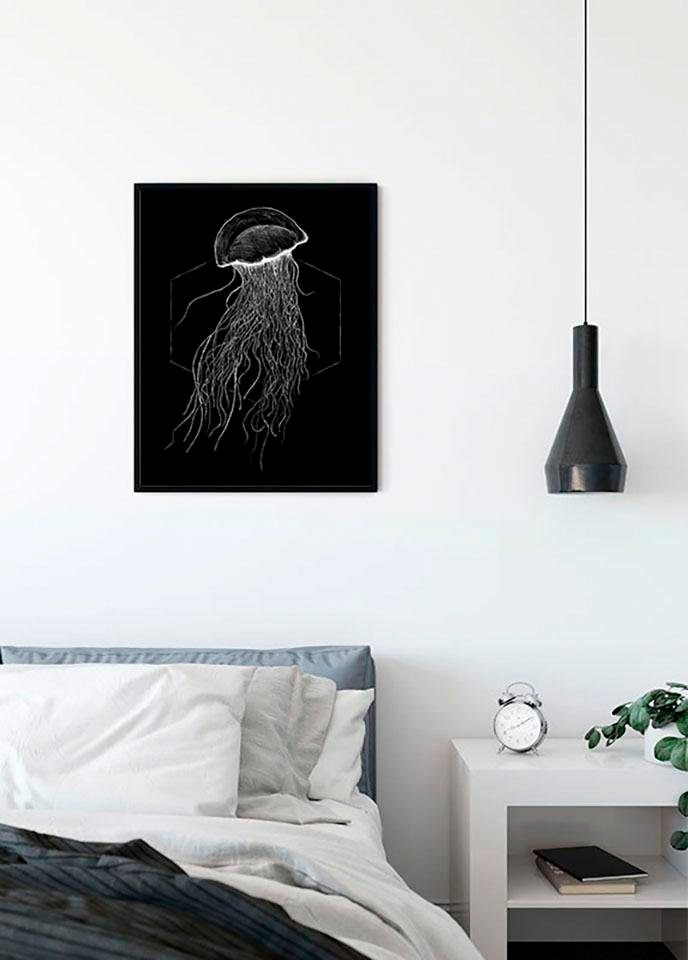 Komar Poster »Jellyfish Black«, Tiere, (1 St.), Kinderzimmer, Schlafzimmer, Wohnzimmer von Komar