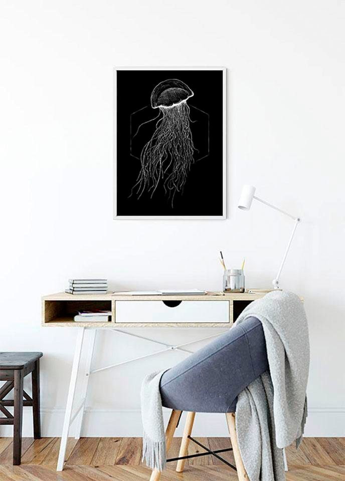 Komar Poster »Jellyfish Black«, Tiere, (1 St.), Kinderzimmer, Schlafzimmer, Wohnzimmer von Komar