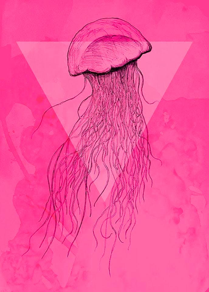 Komar Poster »Jellyfish Pink«, Tiere, (1 St.), Kinderzimmer, Schlafzimmer, Wohnzimmer von Komar