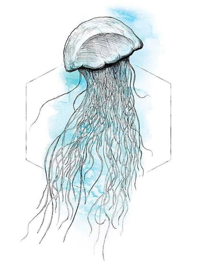 Komar Bild »Jellyfish Watercolor«, Tiere, (1 St.), Wandbild zur Dekoration - ohne Rahmen Komar Bild »Jellyfish Watercolor«, Tiere, (1 St.), Wandbild zur Dekoration - ohne Rahmen von Komar