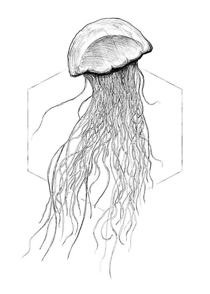 Komar Bild »Jellyfish White«, Tiere, (1 St.), Wandbild zur Dekoration - ohne Rahmen Komar Bild »Jellyfish White«, Tiere, (1 St.), Wandbild zur Dekoration - ohne Rahmen von Komar