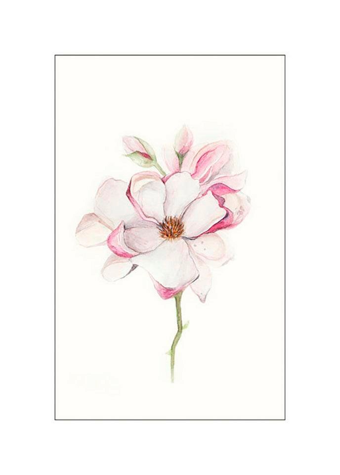 Komar Bild »Magnolia Blossom«, Blumen, (1 St.), Wandbild zur Dekoration - ohne Rahmen von Komar