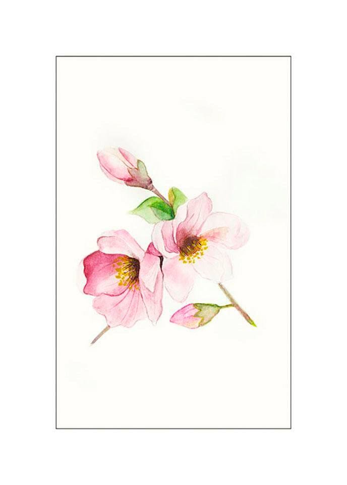 Komar Bild »Magnolia Breathe«, Blumen, (1 St.), Wandbild zur Dekoration - ohne Rahmen von Komar