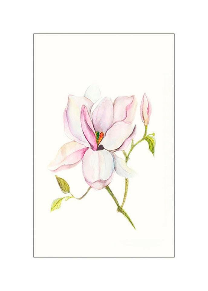 Komar Bild »Magnolia Shine«, Pflanzen-Blätter, (1 St.), Wandbild zur Dekoration - ohne Rahmen von Komar