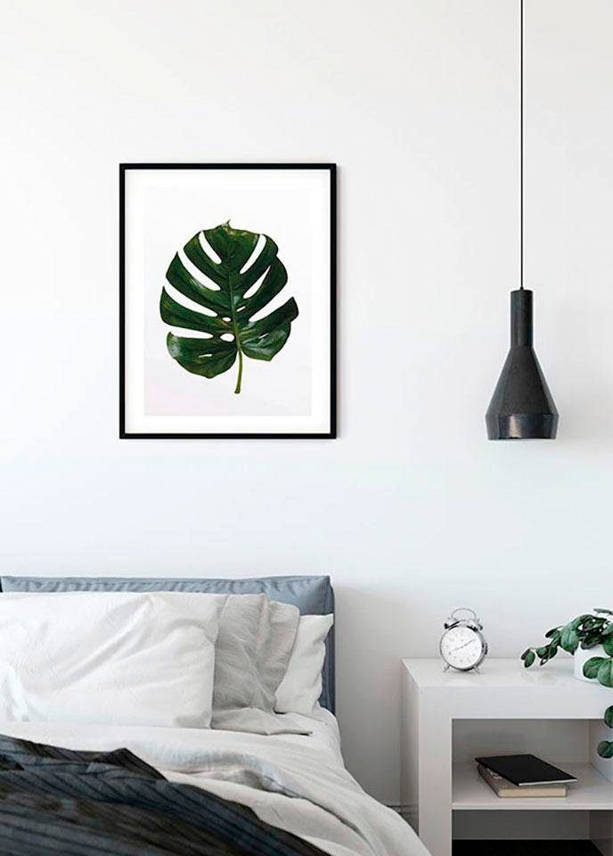 Komar Poster »Monstera Leaf«, Pflanzen-Blätter, (1 St.), Kinderzimmer, Schlafzimmer, Wohnzimmer von Komar