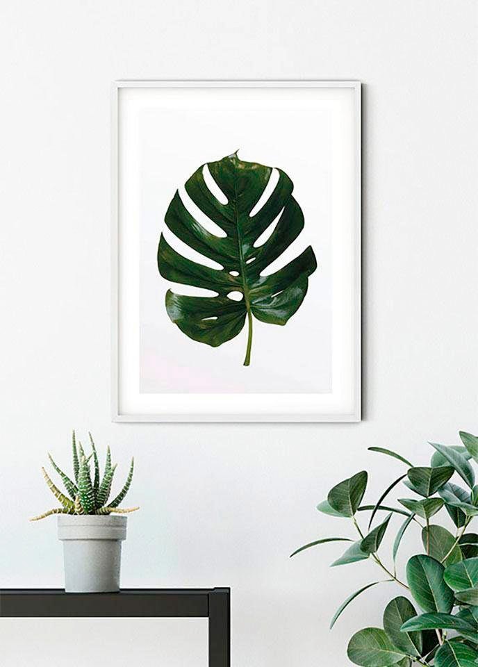 Komar Poster »Monstera Leaf«, Pflanzen-Blätter, (1 St.), Kinderzimmer, Schlafzimmer, Wohnzimmer von Komar