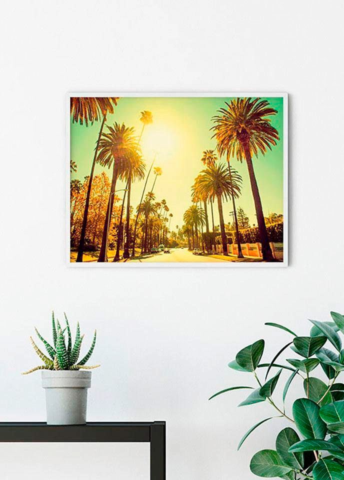 Komar Poster »Palm Alley«, Städte, (1 St.), Kinderzimmer, Schlafzimmer, Wohnzimmer von Komar