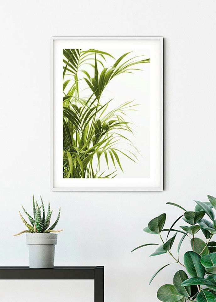 Komar Bild »Reed Leaves«, Pflanzen-Blätter, (1 St.), Wandbild zur Dekoration - ohne Rahmen Komar Bild »Reed Leaves«, Pflanzen-Blätter, (1 St.), Wandbild zur Dekoration - ohne Rahmen von Komar