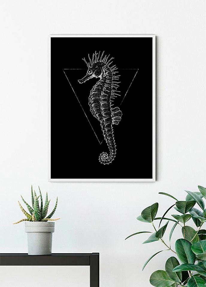 Komar Poster »Sea Horse Black«, Tiere, (1 St.), Kinderzimmer, Schlafzimmer, Wohnzimmer von Komar