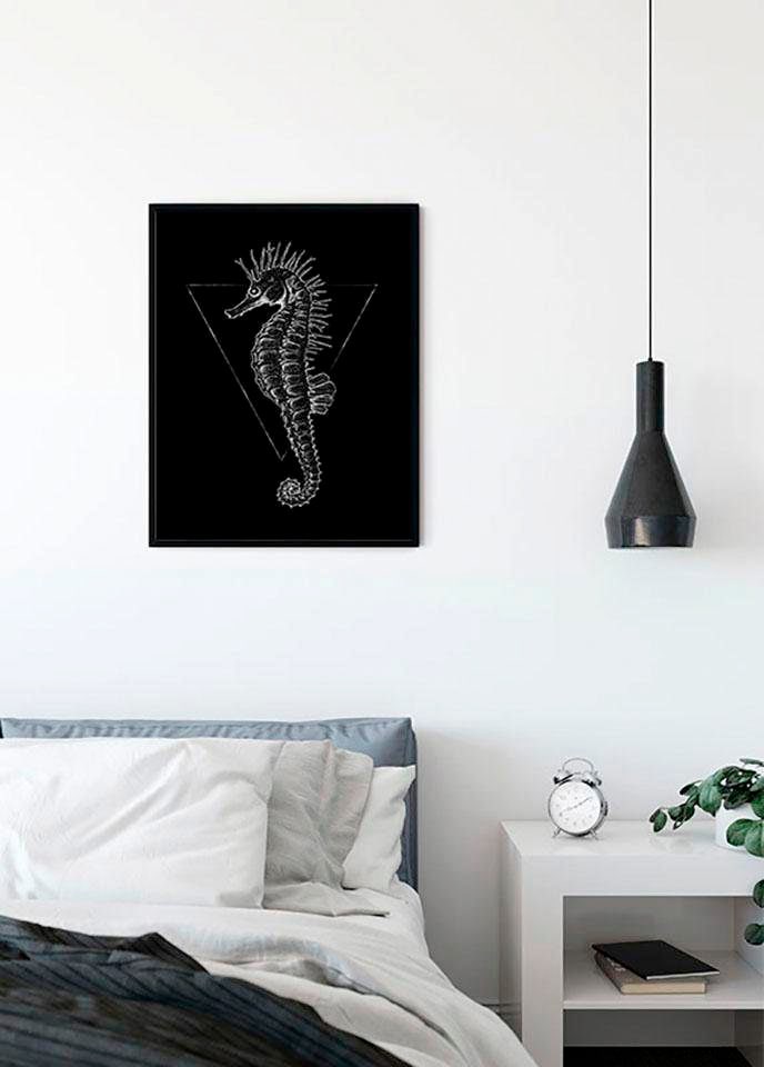 Komar Poster »Sea Horse Black«, Tiere, (1 St.), Kinderzimmer, Schlafzimmer, Wohnzimmer von Komar