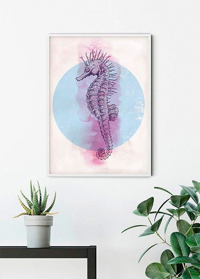 Komar Poster »Sea Horse Circle«, Tiere, (1 St.), Kinderzimmer, Schlafzimmer, Wohnzimmer von Komar