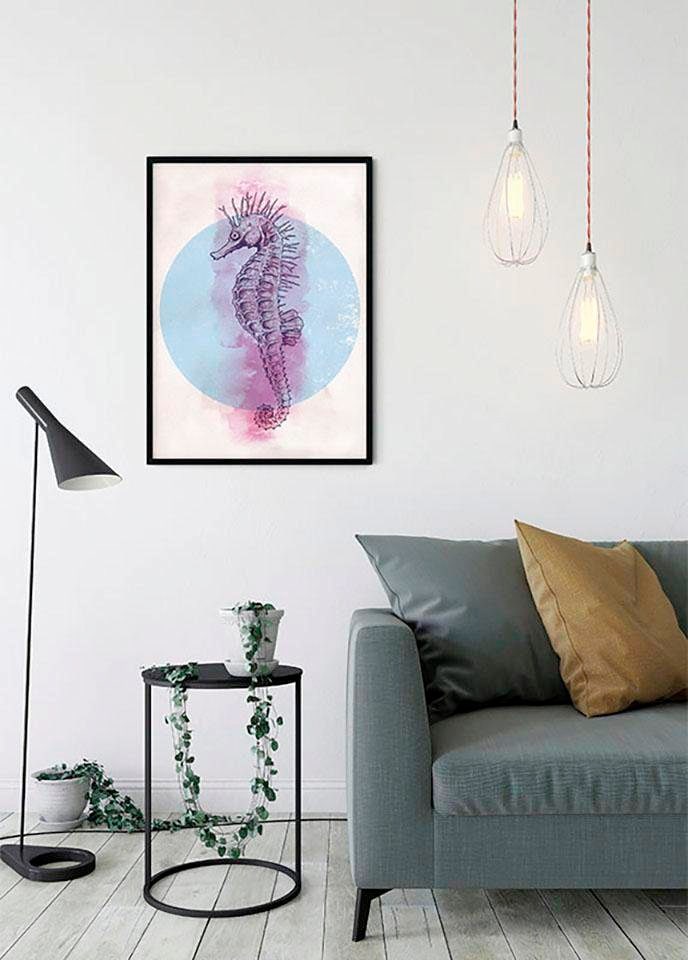 Komar Bild »Sea Horse Circle«, Tiere, (1 St.), Wandbild zur Dekoration - ohne Rahmen von Komar