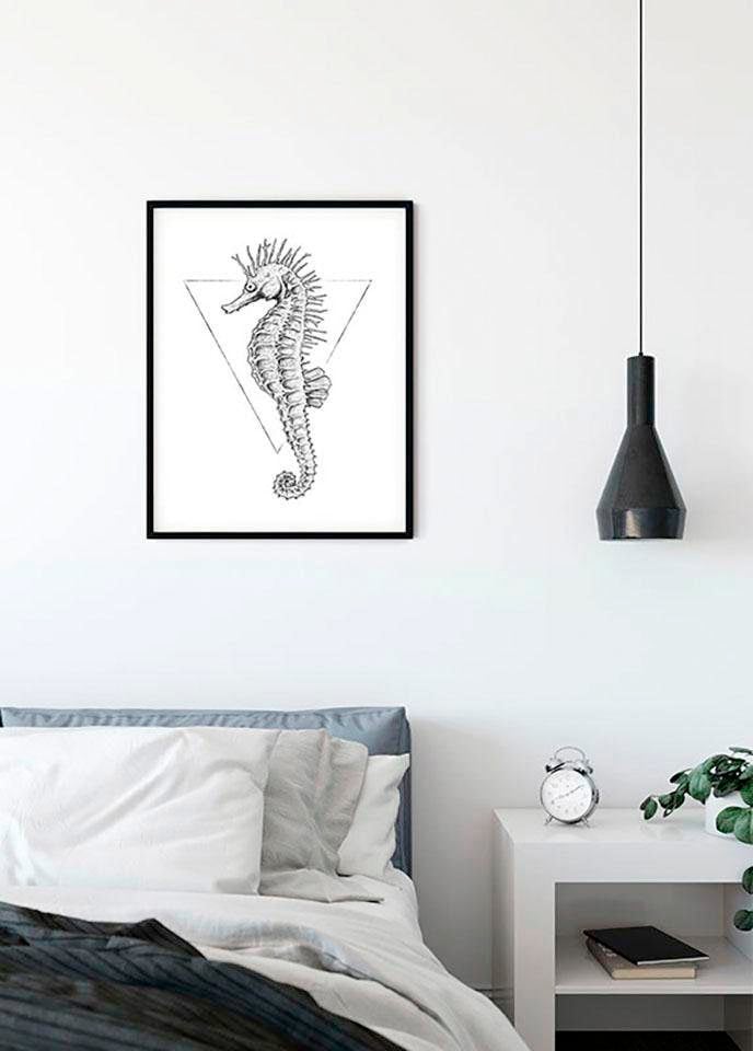 Komar Poster »Sea Horse White«, Tiere, (1 St.), Kinderzimmer, Schlafzimmer, Wohnzimmer von Komar