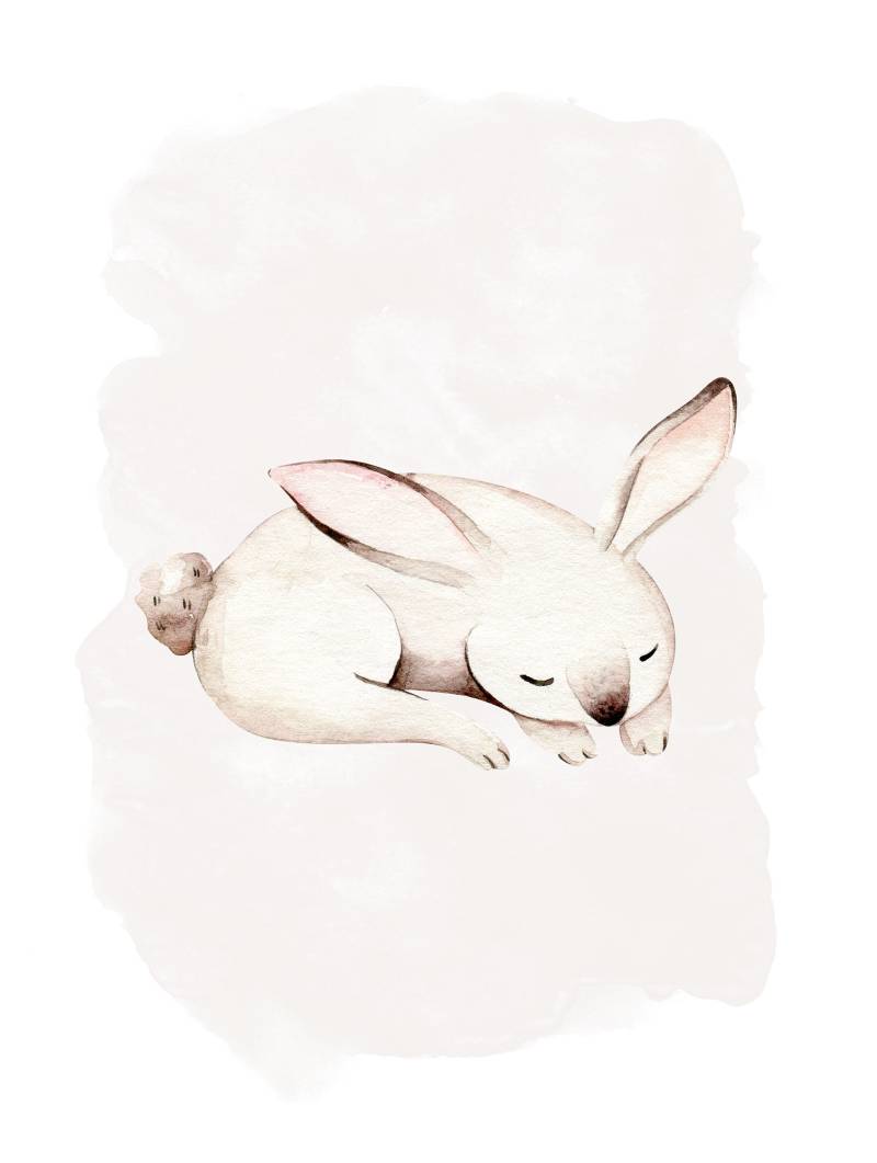 Komar Bild »Sleepy Bunny«, Natur, (1 St.), Wandbild zur Dekoration - ohne Rahmen von Komar