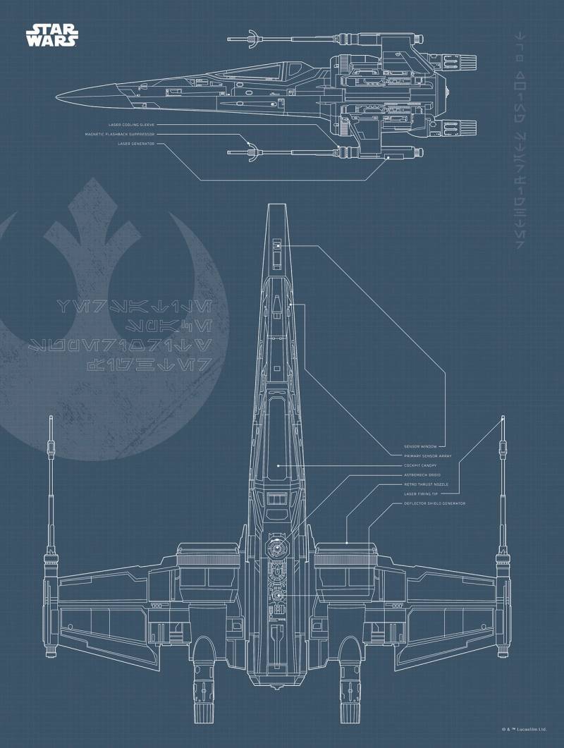 Komar Bild »Star Wars Blueprint X-Wing«, Star Wars, (1 St.), Wandbild zur Dekoration im Kinderzimmer - ohne Rahmen von Komar