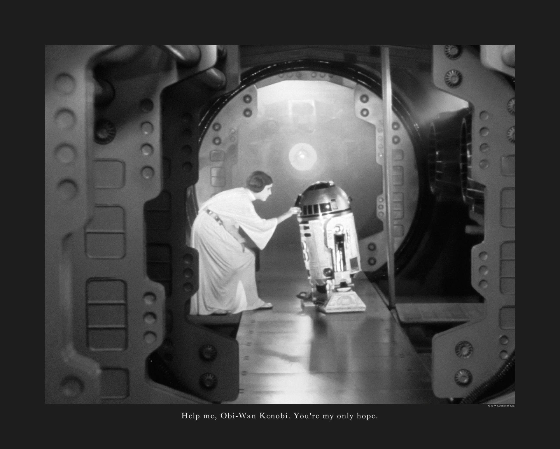 Komar Bild »Star Wars Classic Leia R2D2 Quote«, Star Wars, (1 St.), Wandbild zur Dekoration im Kinderzimmer - ohne Rahmen Komar Bild »Star Wars Classic Leia R2D2 Quote«, Star Wars, (1 St.), Wandbild zur Dekoration im Kinderzimmer - ohne Rahmen von Komar