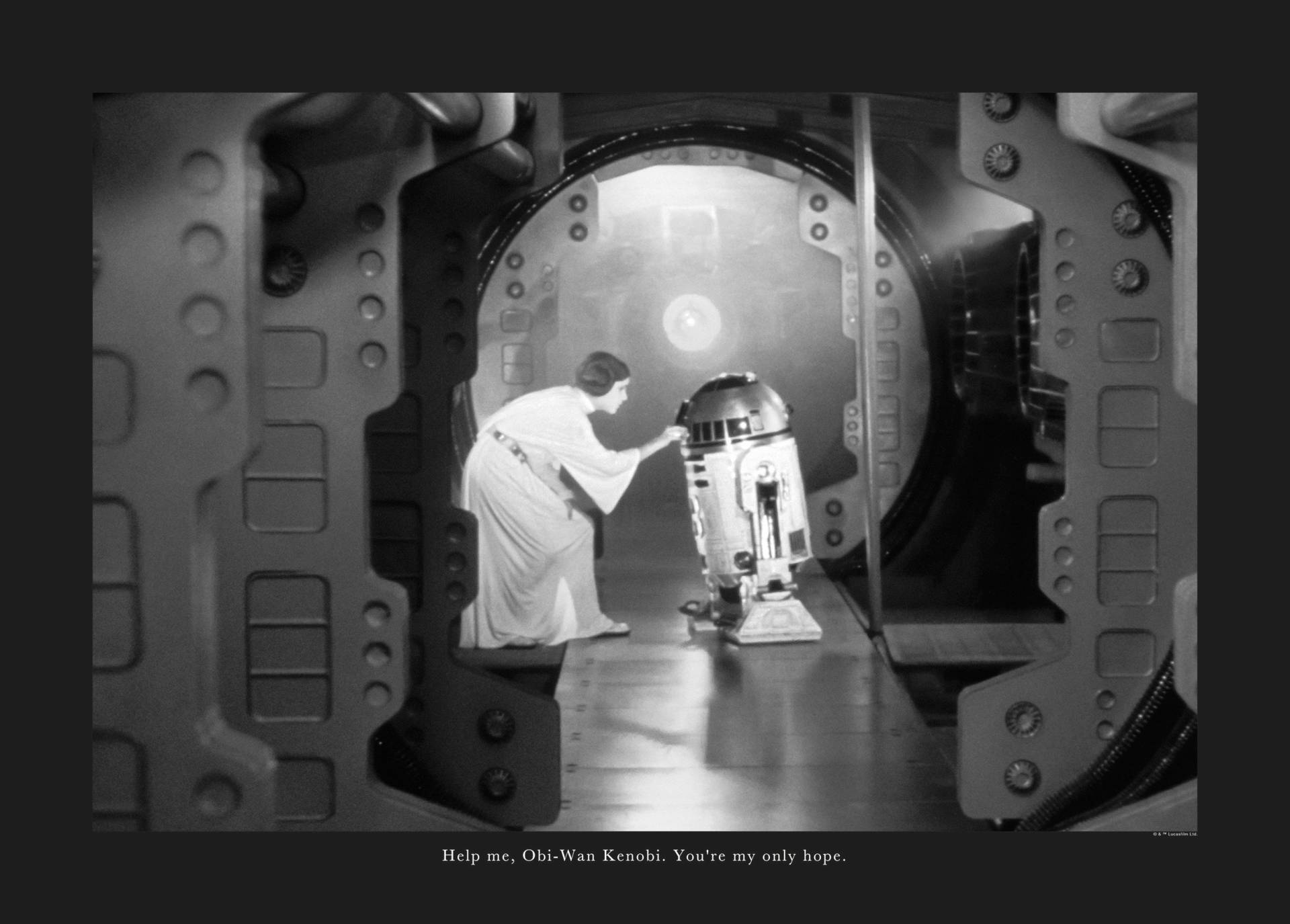 Komar Bild »Star Wars Classic Leia R2D2 Quote«, Star Wars, (1 St.), Wandbild zur Dekoration im Kinderzimmer - ohne Rahmen Komar Bild »Star Wars Classic Leia R2D2 Quote«, Star Wars, (1 St.), Wandbild zur Dekoration im Kinderzimmer - ohne Rahmen von Komar
