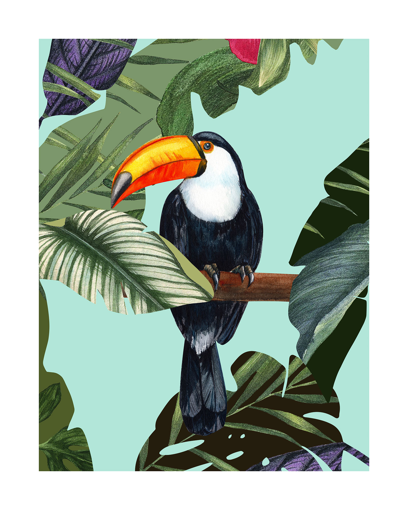 Komar Bild »Toco Toucan«, Natur, (1 St.), Wandbild zur Dekoration - ohne Rahmen von Komar