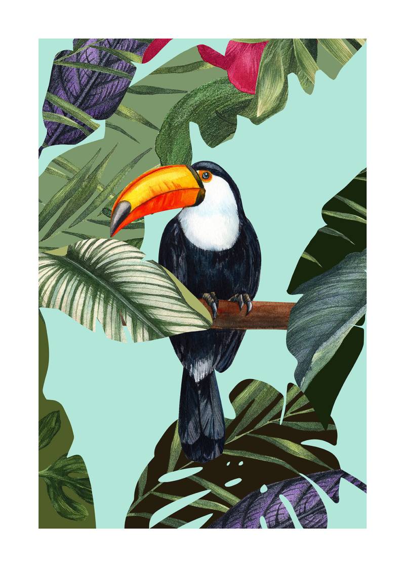 Komar Poster »Toco Toucan«, (1 St.), Kinderzimmer, Schlafzimmer, Wohnzimmer von Komar