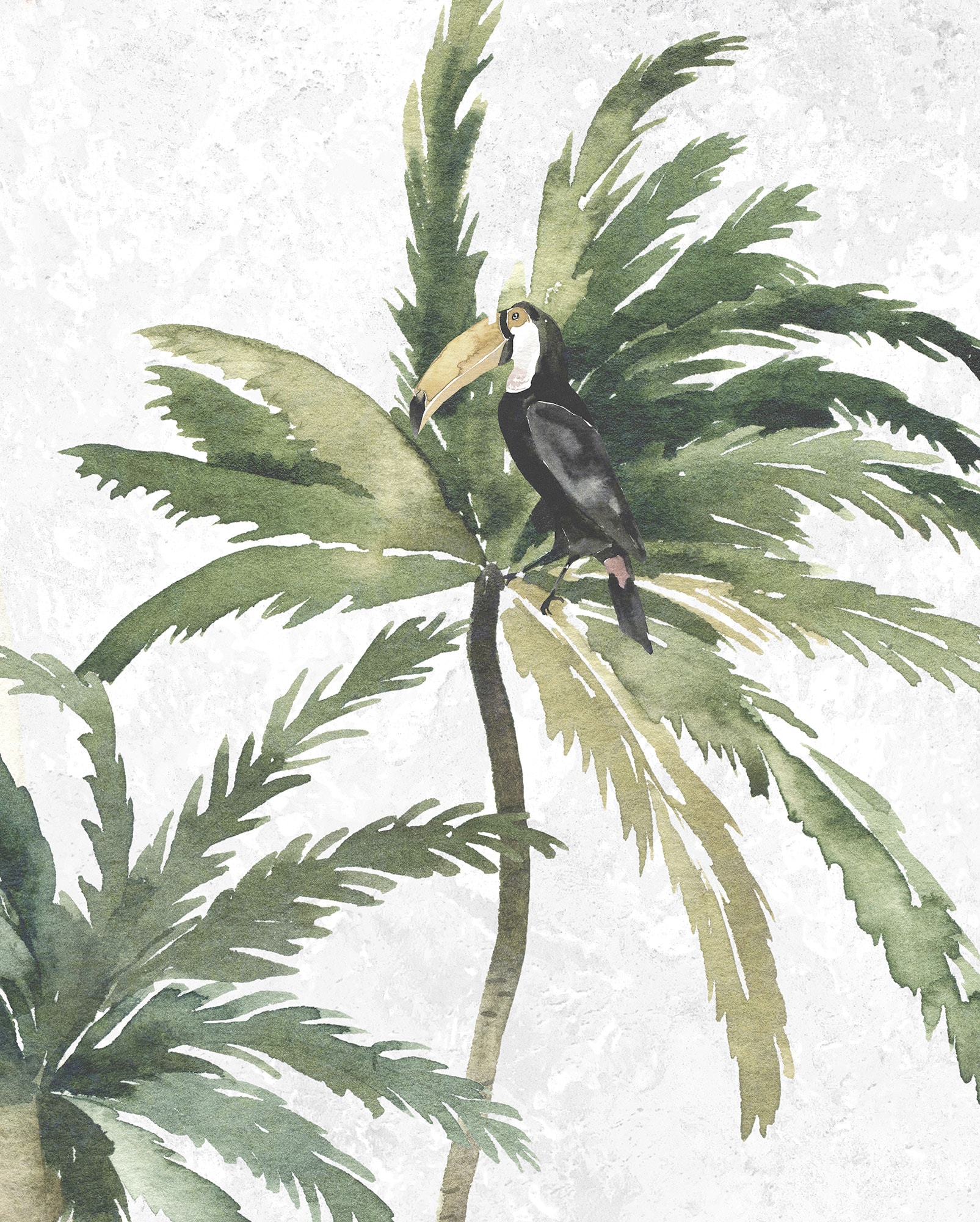 Komar Poster »Tropical Toucan«, (1 St.), Kinderzimmer, Schlafzimmer, Wohnzimmer von Komar