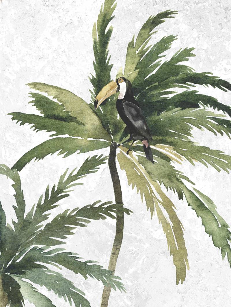 Komar Poster »Tropical Toucan«, (1 St.), Kinderzimmer, Schlafzimmer, Wohnzimmer von Komar