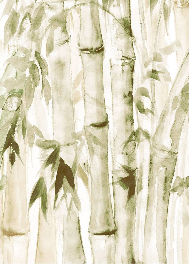 Komar Bild »Wild Bamboo«, Natur, (1 St.), Wandbild zur Dekoration - ohne Rahmen von Komar