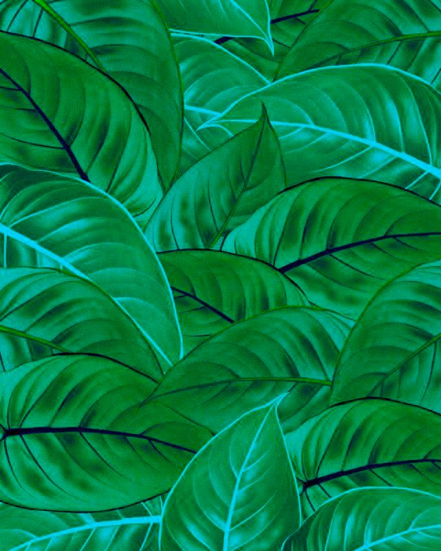 Komar Vliestapete »Digitaldruck Vlies - Jungle Leaves - Grösse 200 x 250 cm«, bedruckt, Wohnzimmer, Schlafzimmer von Komar